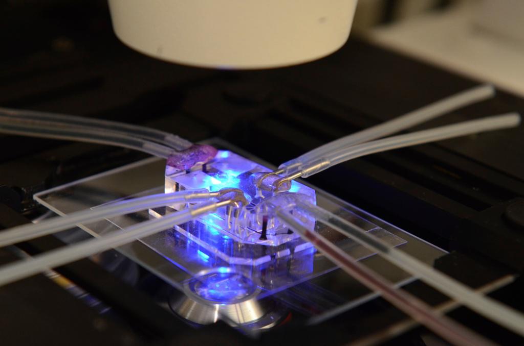 corona treatment applications in microfluidic chips - electro-technic products.jpg